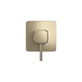 ACABAMENTO PARA CHUVEIRO QUADRADO SUMMER GOLD YOU LOES Deca Metal 4993.SM105.CHU.MT