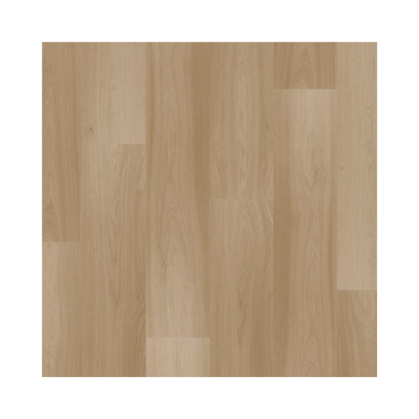 PERFIL 5 EM 1 03044 MOCHA 1,80M PREMIERE Quick-Step 8053510
